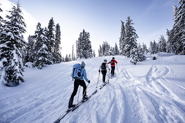 Tarif location de ski de fond et skating, Méribel, CHAMOIS SPORTS